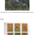 Imagem1